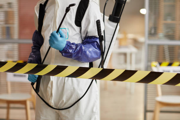 Professional Sewage Cleanup technician working in Salisbury, NY